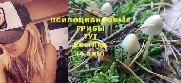MESCALINE Баксан