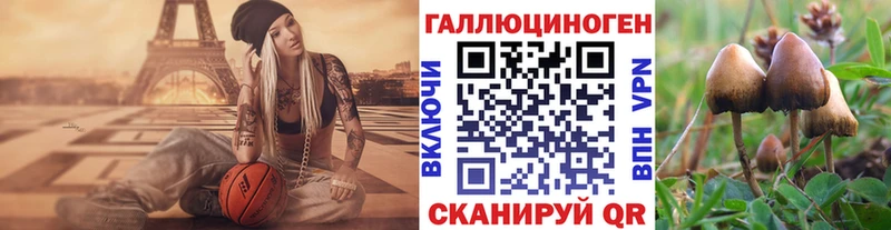 Псилоцибиновые грибы мицелий  Белинский 
